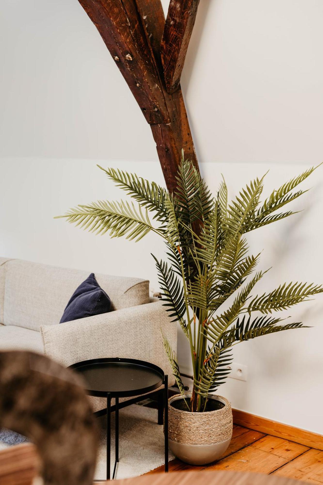 Gorgeous Duplex Apartment In Old City Centre Anversa Esterno foto